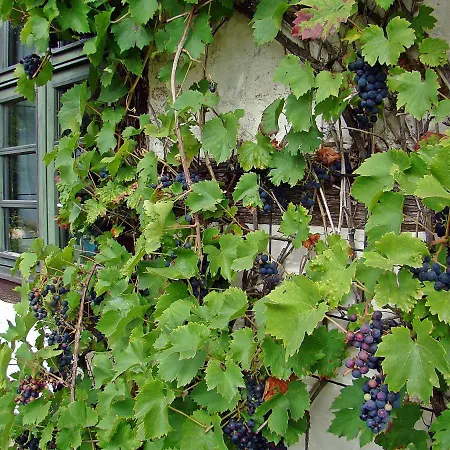 Gasthof Alte Ausspanne 3*